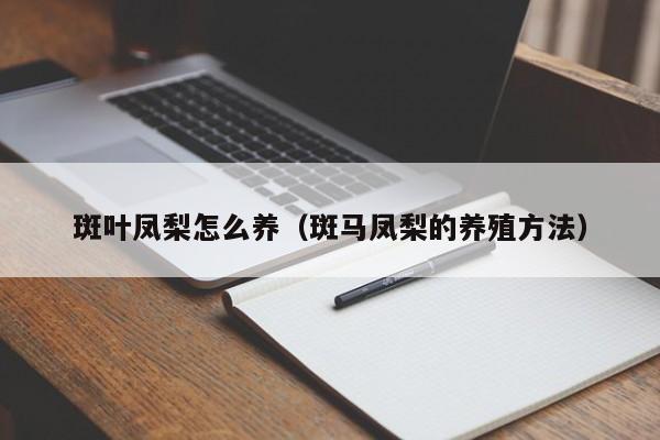 斑叶凤梨怎么养（斑马凤梨的养殖方法） 